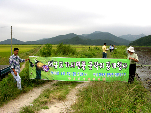 9월 9일 장흥환경운동연합에서 각 언론과 장흥군에 가시연꽃 군락지를 공개하는 행사를 했다. 